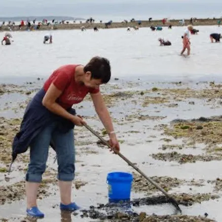 Ferienhaus Maison Bord De Individuel *