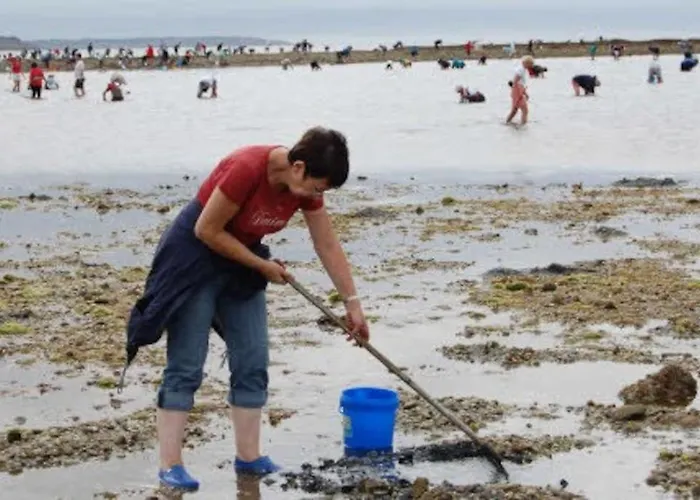 Casa de Férias Maison Bord De Individuel *
