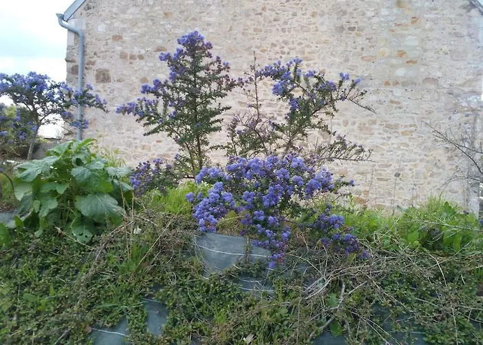 Casa de Férias Maison Bord De Individuel